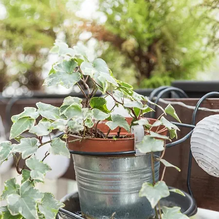 Appartamento Guestready - The Hackberry