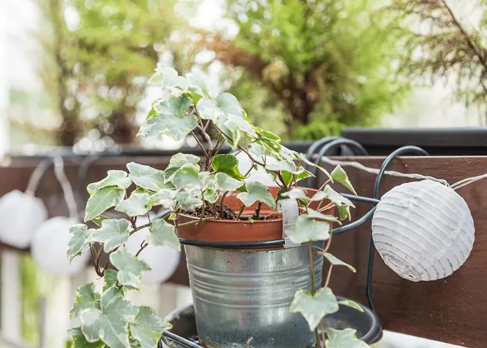 Appartement Guestready - The Hackberry